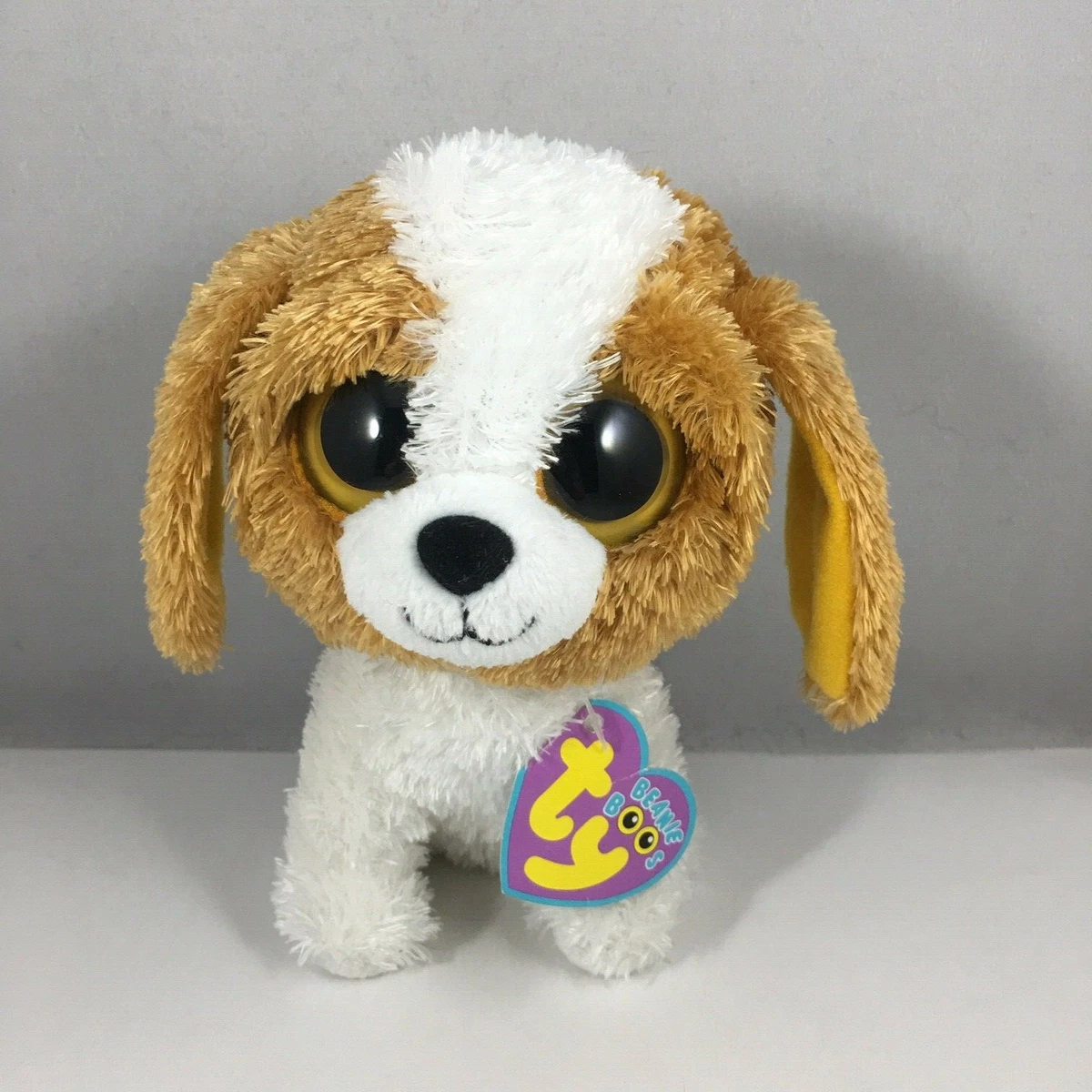 Cookie the 2025 dog beanie boo