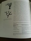 Picture 6 of 7