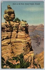 Grand Canyon Arizona~Air View Duck On The Rock~Vintage Linen Postcard
