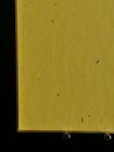 Bild 11 von 11