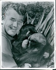 1970 Bill Burrud Apes Animal World Abc Tv Rogers Cowan 8X10 Historic Press Photo 1970 Bill Burrud Apes Animal World Abc Tv Rogers Cowan 8X10 Historic Press Photo