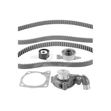 Kit de distribution Ford ORION