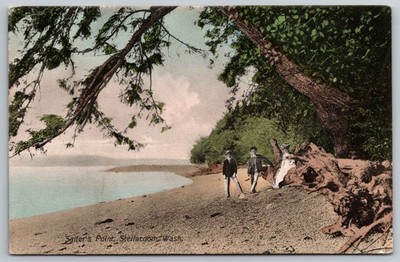 Steilacoom, Washington - Salter's Point - Antique Hand Colored Postcard R