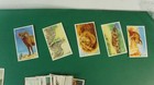 Bild 6 von 12