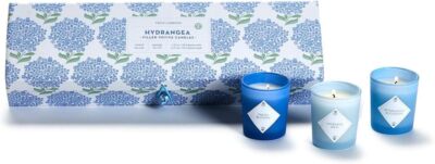 Two's Company Hydrangea Set of 5 Votive Candles in Gift Box in 3 Scents
