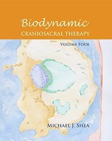 Biodynamic Craniosacral Therapy, Volume Four  von Michae... | Buch | Zustand gut