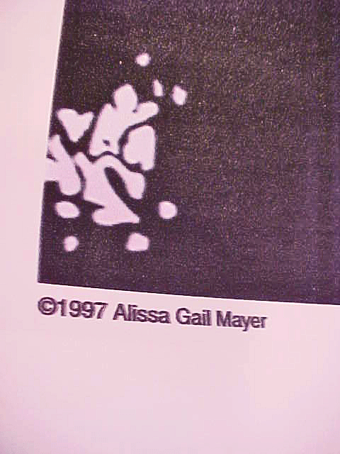 Picture 5 of 5