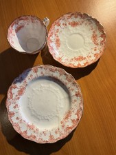 Allertons Crown England Meredith Tea Cup, Saucer & plate Orange  1900s