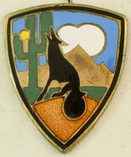 Phoenix Union High School JROTC Crest DI/DUI Pinback NS Meyer HM