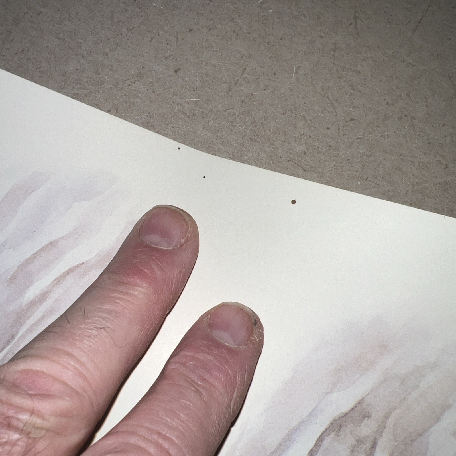 Picture 13 of 21