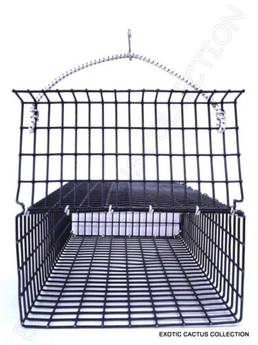 CHUM BOX Marine Grade PVC Beschichtung schwarz Draht Netz Topf Angeln Köder Käfig 12x8x4 - Bild 8 von 9