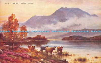 R364589 Ben Lomond von Luss Valentine Art Farbe