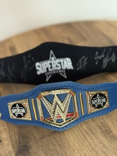 WWE Mini Replica Universal Championship Title Superstar Experience Rare