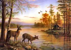 Canvas Print Oil painting Picture Animals Deer in the forest lake on canvas L714