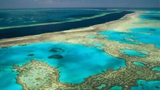 Landscape coral sea nature Custom Gaming Mat Desk