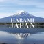 haramicamera