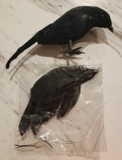 Prop Realistic Raven Feathered Party Home Decor