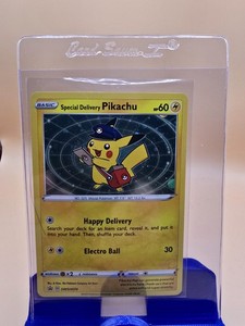 Pikachu Special Delivery | eBay