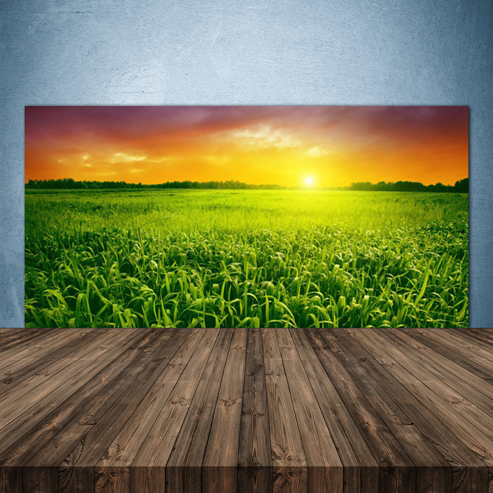 Crédence de cuisine en verre 140x70 panneau mural fond de hotte floral paysage nature