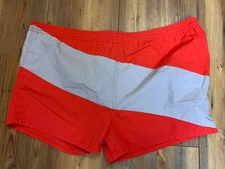 vintage Men's  1970s Shorts Swim Trunks Freestyle Red Gray Color Block (size L 