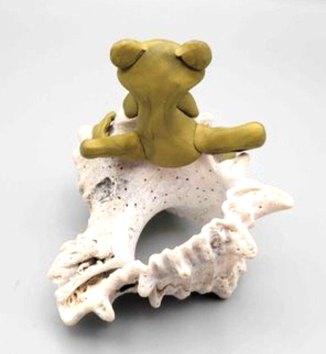 Small Wonder” FROG On Conch Shell Sculpture by Sandy Lehman Signed