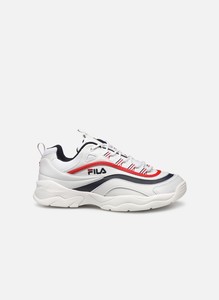 fila ray low hombre