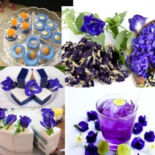 100% Thai Dried Butterfly Pea Tea Flower Pure Organic Natural Herbal Blue