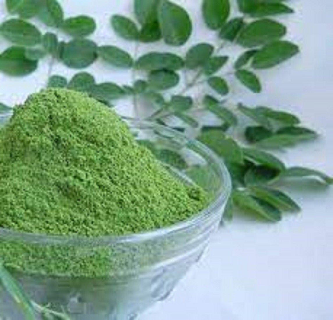 Dried Moringa Leaves 100% Pure Organic Moringa Oleifera Leaf Powder ...