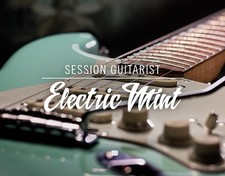 Session Guitarist Electric Mint Native Instru...