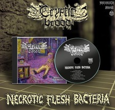 CRYPTIC BROOD - necrotic flesh bacteria CD
