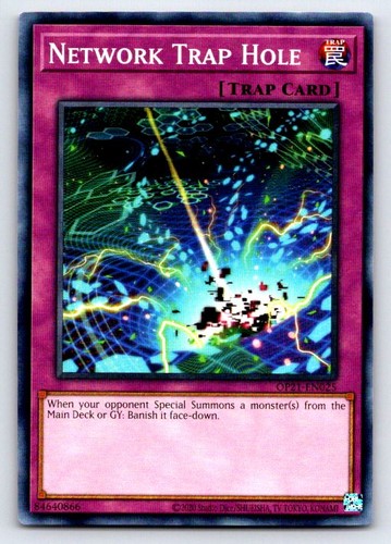Network Trap Hole OP21-EN025 card