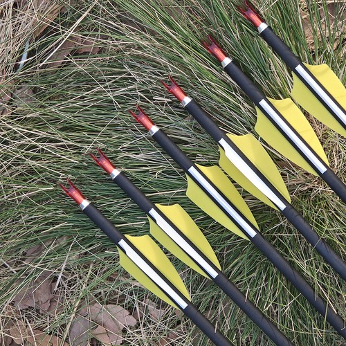 30" Carbon Arrows Archery SP1000 Vanes ID4.2mm Point Recurve Bow Target Shooting - Picture 6 of 18