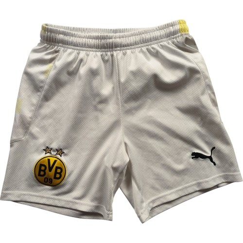 Topps BVB Borussia Dortmund Équipe Set 20/21 XL Carte N° 02 Topps BVB Borussia Dortmund Équipe Set 20/21 XL Carte N° 02