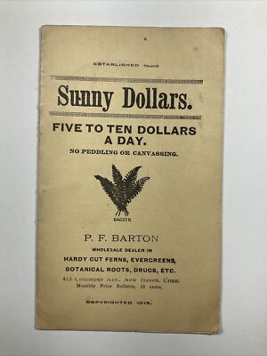New Haven, Connecticut 1913 Sunny Dollars Booklet for Plant & Root Saleman