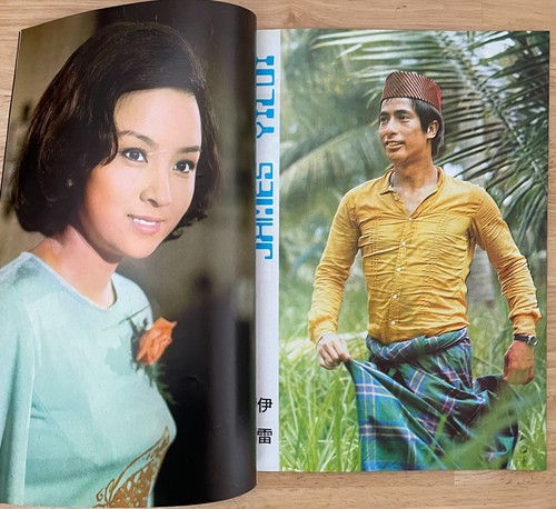 Bruce Lee in Hong Kong Golden Movie News #28 July 1974 Special Issue RARE! EXC - Bild 5 von 9