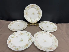 Haviland "THE PRINCESS"  Limoges , France ~ Set of  5 ~ Lunch Plates ~ 8 5/8"