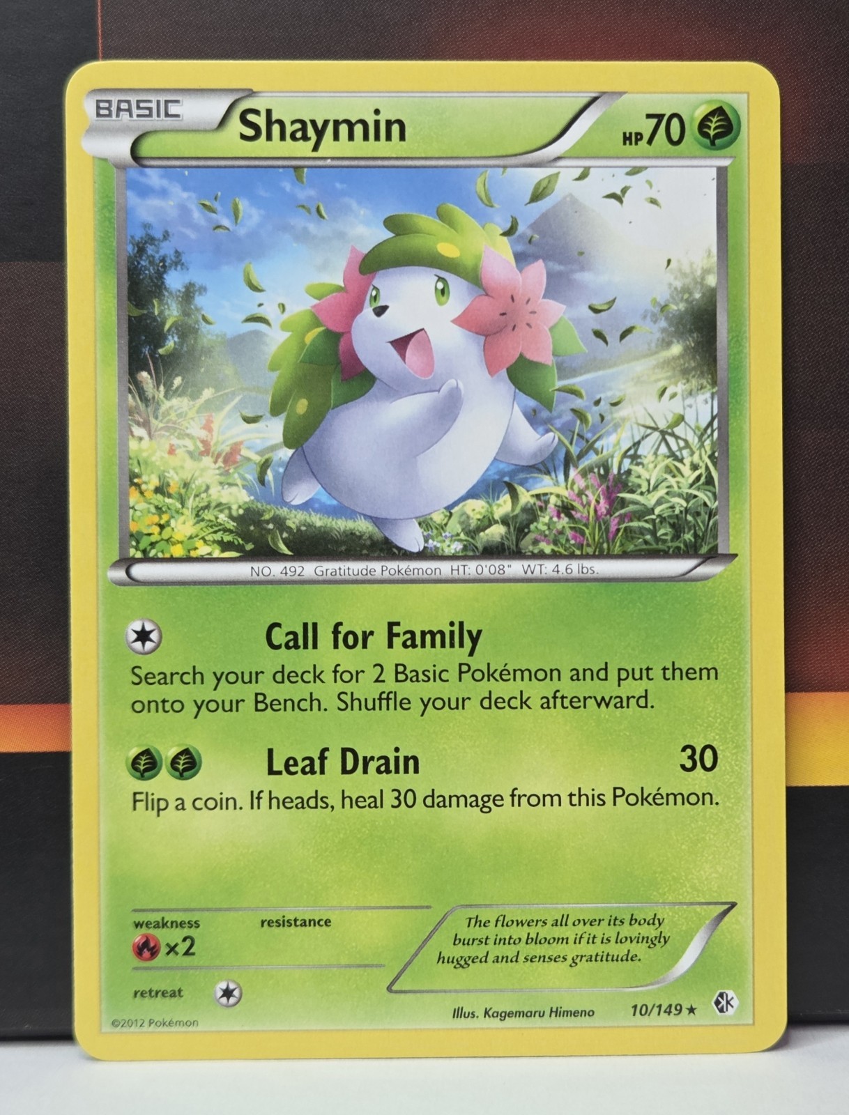 Shaymin 10/149 Boundaries Crossed Regular