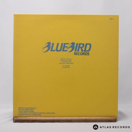 Paul Hardcastle Rain Forest 12" Single Vinyl Record 1984 BRT 8 Bluebird - EX/EX - Picture 3 of 8