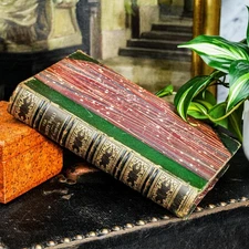 The Insect World Louis Figuier Antique Leather Spine Book Natural History Nature