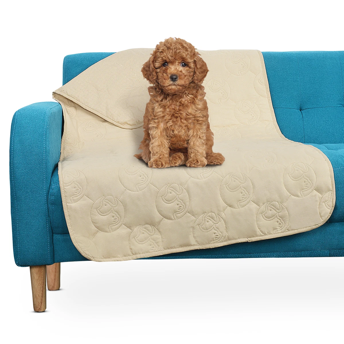 Non slip outlet dog blanket