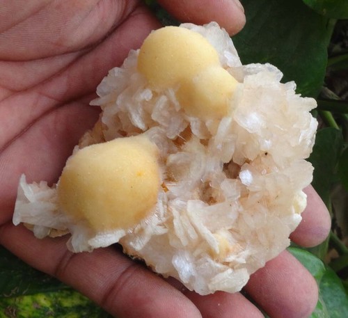 Thomsonite Balls On Stilbite Heulandite Minerals Specimen India - Picture 2 of 7