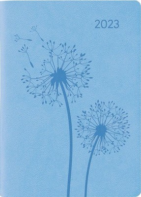 Ladytimer Mini Deluxe Sky 2023  TaschenKalender 8x11,5 cm  Tucson Einband  mi...