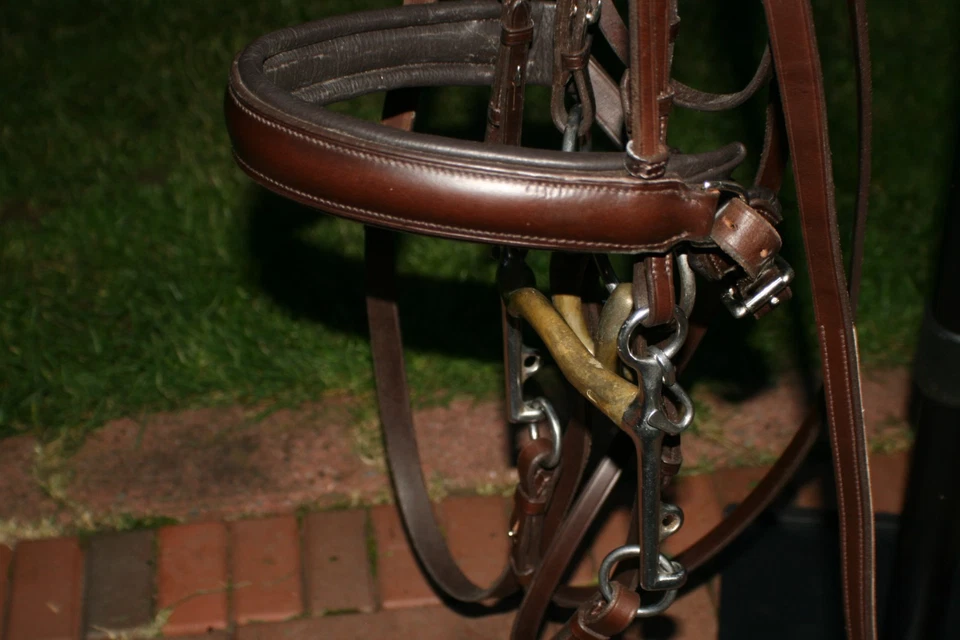 Passier - Bild 3 von 4