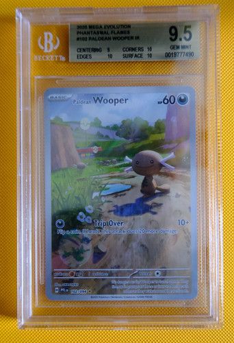 Paldean Wooper graded BGS 9.5 for sale on eBay