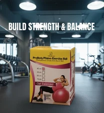 ProBody Pilates Excercise Ball (45 cm/ 17.1 inches)