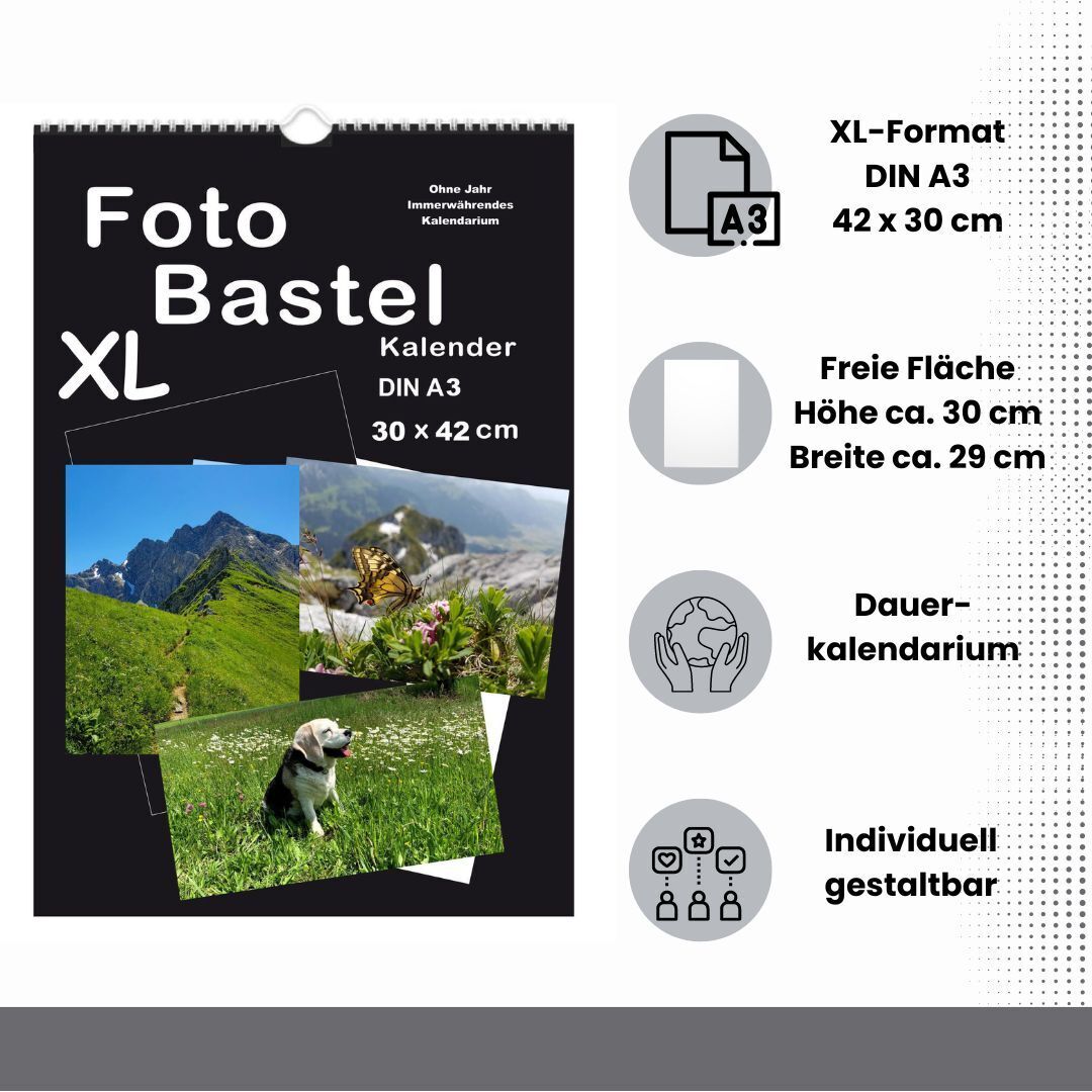 Bild 2 von 8