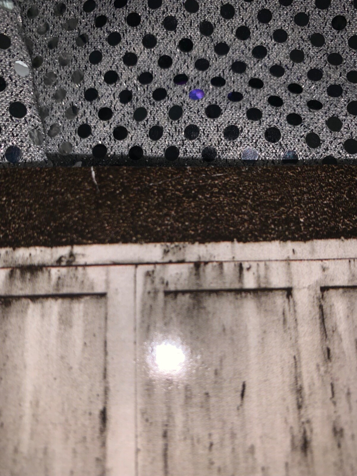 Picture 4 of 4
