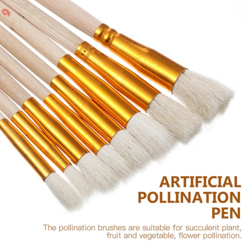8 Pcs Plant Pollinator Brush Pollinating Brushes Artificial Chalk - 第 11/12 張圖片