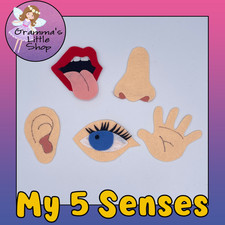 My Five Senses Felt Story Set for Felt or Flannel Board Play