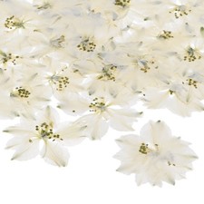 24er-Pack Gepresste Blumen f&uuml;r Harz, DIY Schmuck/Seifen/Kerzen, Wei&szlig;